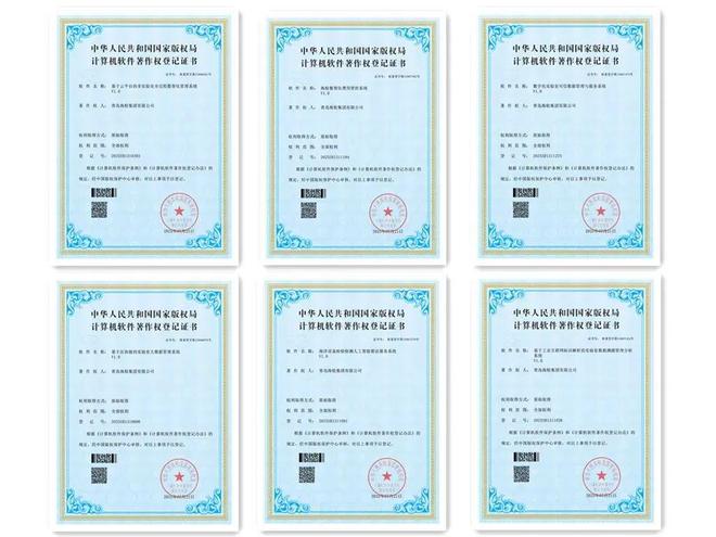 蓝谷企业动态丨海检集团多款软件系统取得计算机软件著作权
