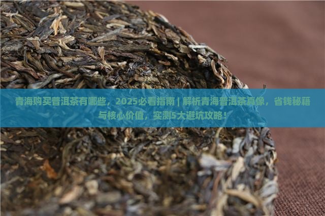 青海购买普洱茶有哪些，2025必看指南 ｜ 解析青海普洱茶真像，省钱秘籍与核心价值，实测5大避坑攻略！