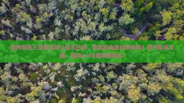 衢州前往三亚凤凰岭公园五日游，你真的会选对路线吗？避开踩坑攻略，解锁2024旅游新风尚！