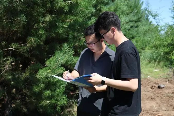 纵横点评 ｜ 从“碳库”到“钱库”，解码内蒙古碳汇领跑之路