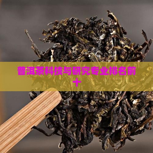 普洱茶科技与研究专业排名前十