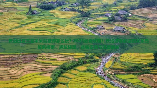 长治出发三亚呆呆岛旅游怎么玩？2025必看攻略！长治游客必读的呆呆岛解密指南、避坑秘籍、省钱实测与深度解析