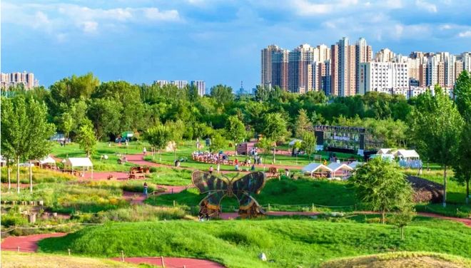 赛罕之夏：文旅融合绘就多彩画卷