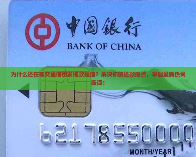 交通信用发的催款短信