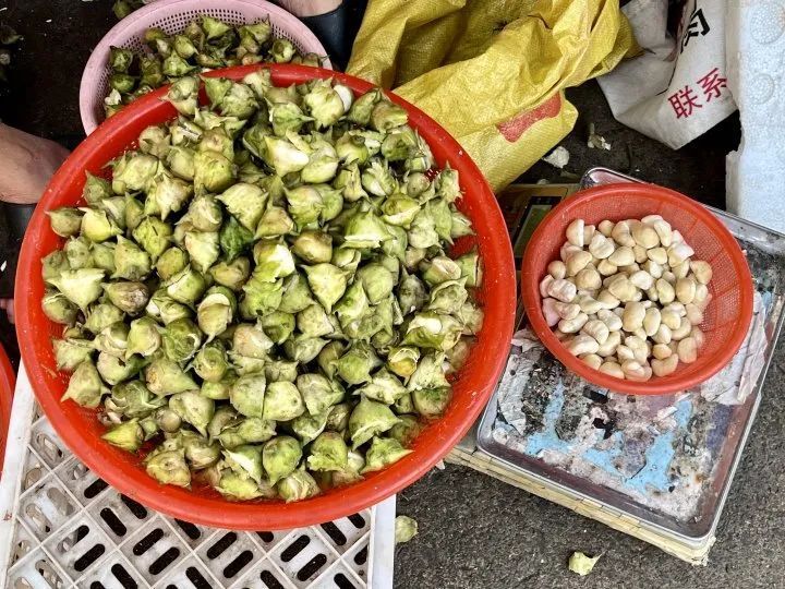 带壳8元剥好16元，这道时令美味上市！菜场阿姨的神仙烧法收好
