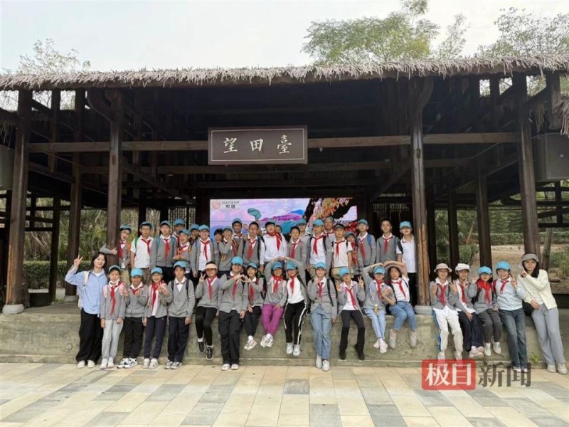 稻谷飘香秋收忙，武汉这所小学学生体验割稻打谷