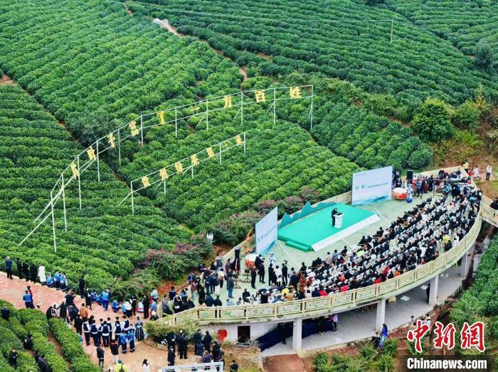 全国早茶大会暨2025年“贵州绿茶”第一采活动在普安举行