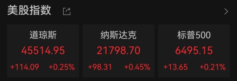 纳指创历史新高 芯片股多数上涨