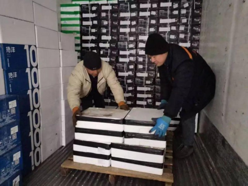 【新春走基层】冷库搬运工安师傅的“热”生活
