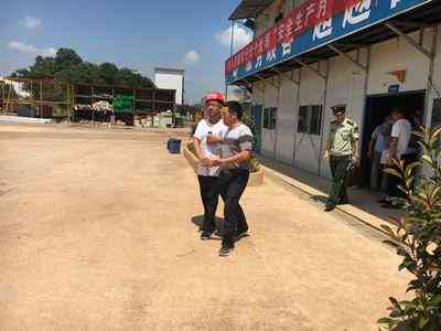 新闻播报制作软件:推荐与制作指南哪个好?