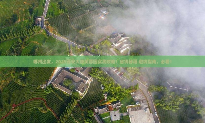 郴州到西安大唐芙蓉园旅游 郴州到西安大唐芙蓉园旅游