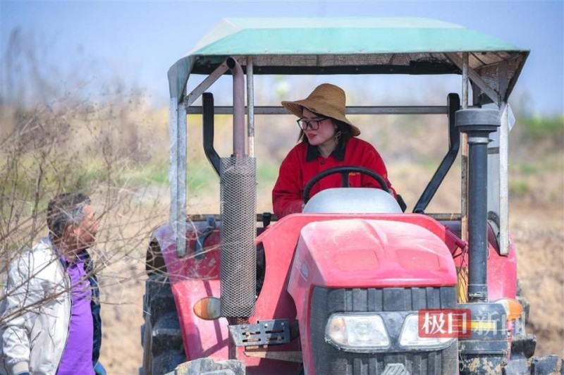 拖拉机、收割机、插秧机、无人机……美女农机手样样在行