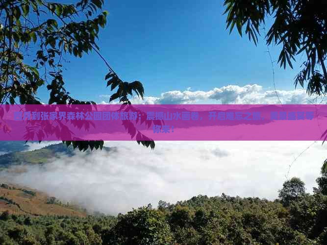 四月到张家界森林公园团体旅游