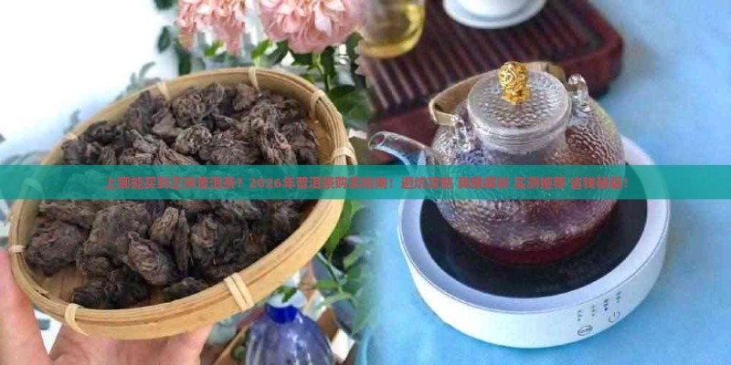 上哪能买到正宗普洱茶 上哪能买到正宗普洱茶