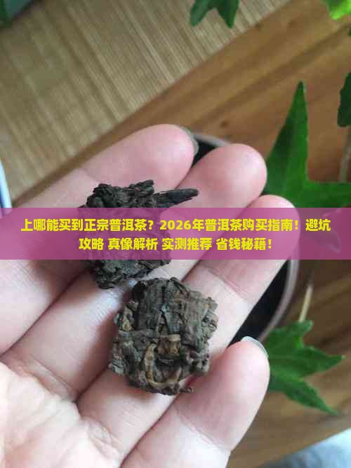 上哪能买到正宗普洱茶 上哪能买到正宗普洱茶