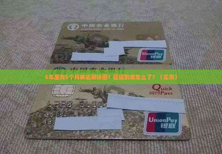 5年内有5个月处于逾期状态