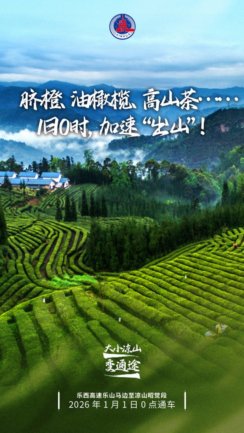 脐橙、油橄榄、高山茶……1日0时，加速“出山”！_腾讯新闻